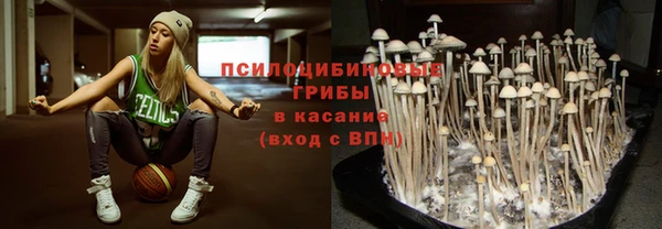 дмт Зерноград