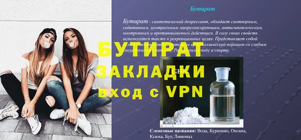 индика Инсар