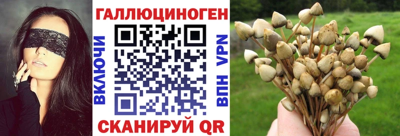 Псилоцибиновые грибы Magic Shrooms  кракен сайт  Чудово 